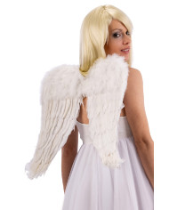 White feather wings h.cm.50x45 in pbh