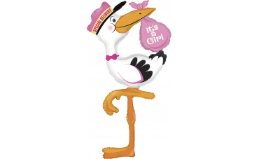 Itâ€™s a girl, itâ€™s a boy: arrivano le cicogne!